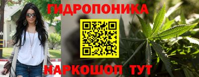 стафф Новодвинск