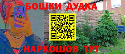 стафф Новодвинск