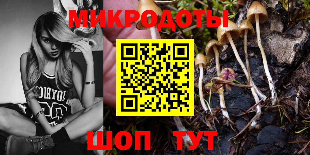 Родники  Псилоцибиновые грибы GOLDEN TEACHER  купить  сайты  Вход с VPN 